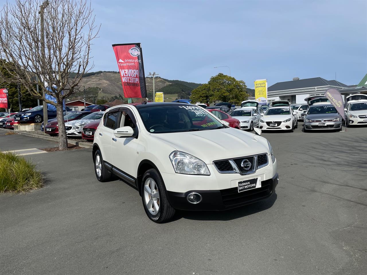 2013 Nissan Dualis