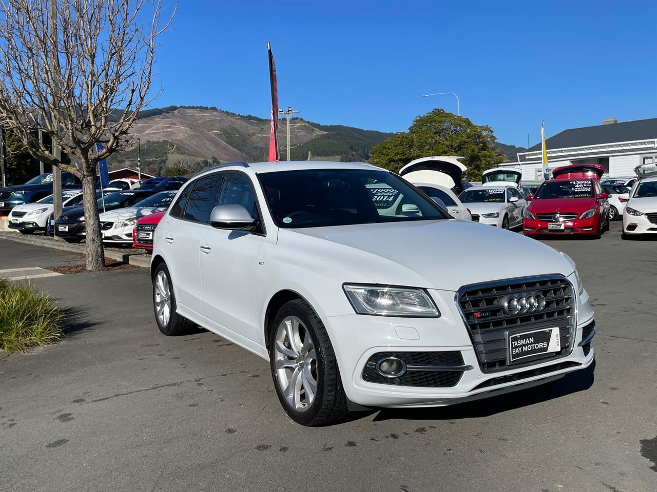 2015 Audi SQ5