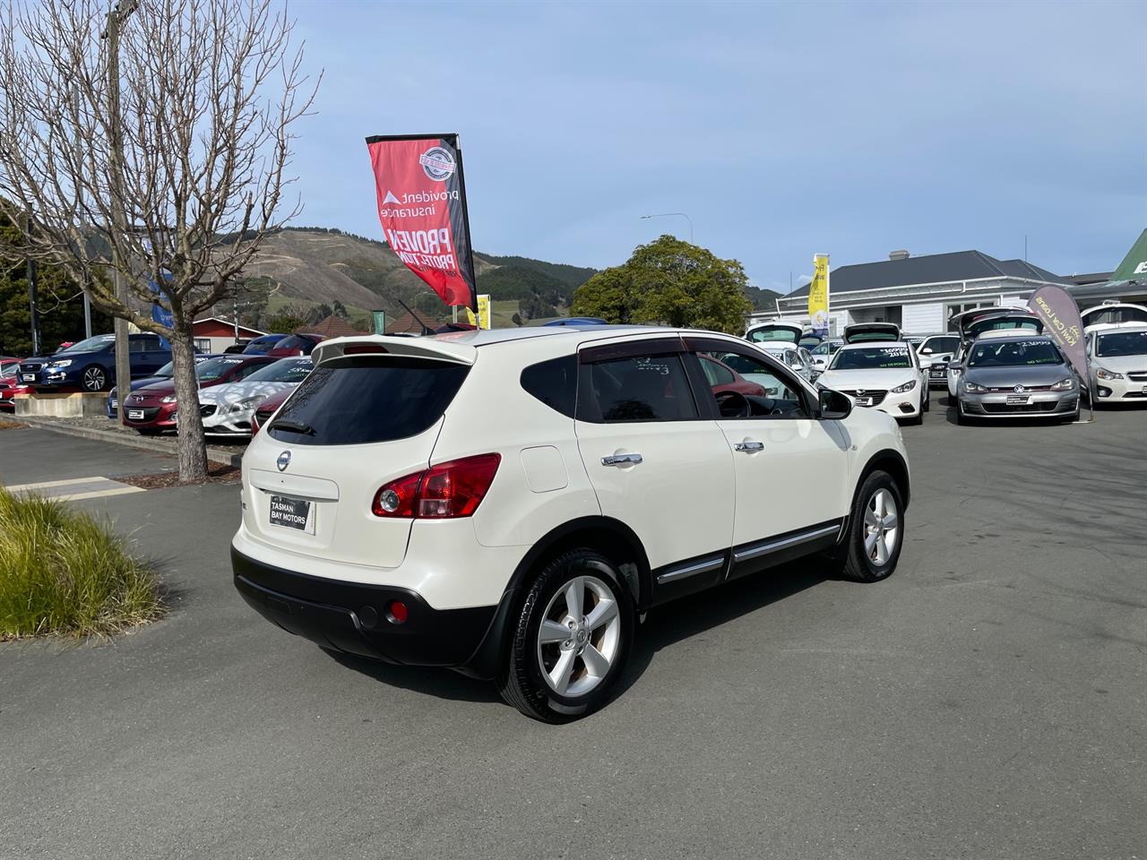 2013 Nissan Dualis